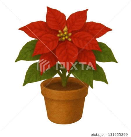 【クリスマス】ポインセチアのイラスト 131355299