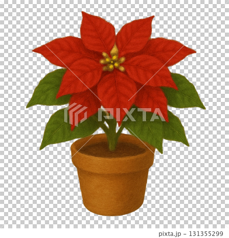 【クリスマス】ポインセチアのイラスト 131355299