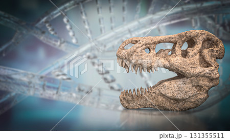 The T rex Skull for Education Or sci concept 3d Rendering. 131355511