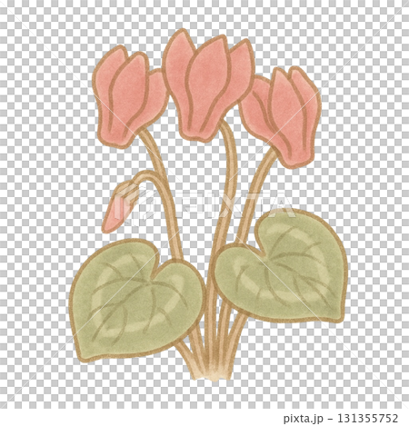 【花】シクラメンのイラスト 131355752