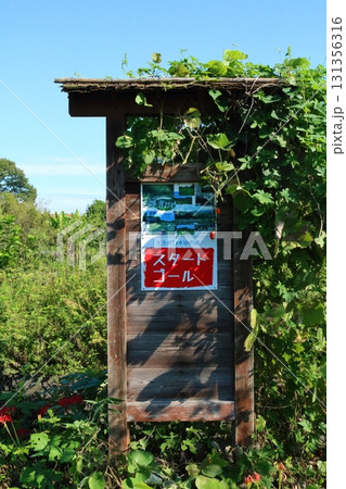 都幾川、水辺の遊歩道 131356316