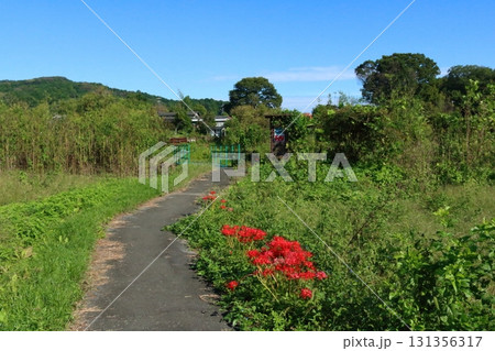 都幾川、水辺の遊歩道 都幾川、水辺の遊歩道 131356317