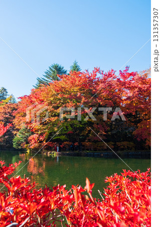 軽井沢・雲場池（秋） 131357307