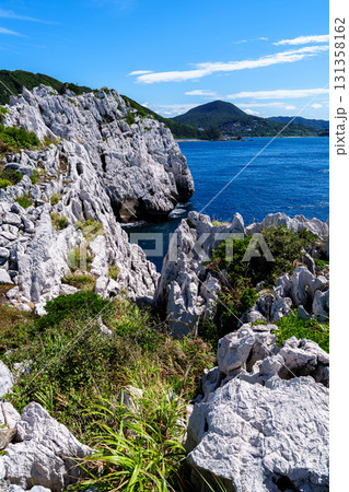 石灰岩の巨石の海岸　和歌山白崎海岸　切り立った白い岩肌と遠景の山並み 131358162
