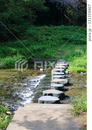都幾川、水辺の遊歩道 都幾川、水辺の遊歩道 131358907