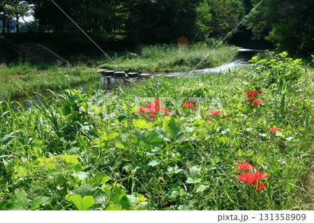都幾川、水辺の遊歩道 都幾川、水辺の遊歩道 131358909