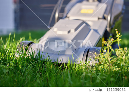 Electric lawn mower cutting green grass in backyard 131359081
