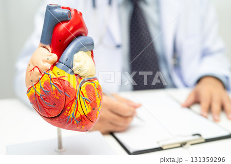 Cardiovascular disease CVD, Asian doctor holding human anatomy model for learn and treat heart disease. 131359296