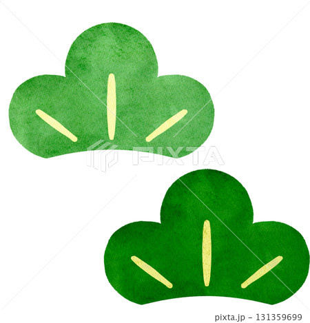 水彩風に描いた松のイラスト 131359699