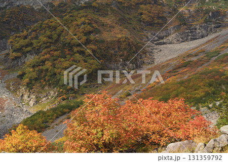 紅葉と山肌の模様 131359792