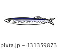 サンマ　手書き風 131359873