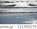 荒波の打ち寄せる波 131360279