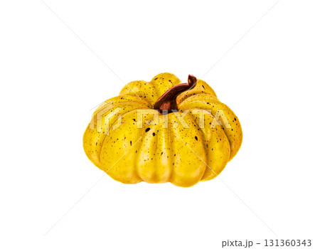 Yellow pumpkin on white background, isolate 131360343