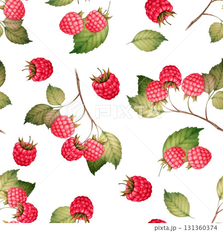 Raspberry seamless pattern with berries and leaves, hand-drawn botanical illustration 131360374
