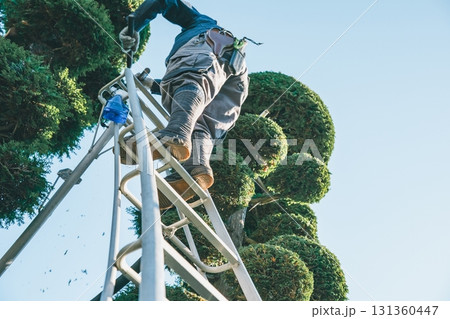 Japanese Gardener Japanese Gardener 131360447