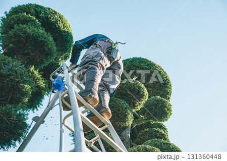 Japanese Gardener Japanese Gardener 131360448
