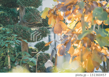 Japanese Gardener 131360457