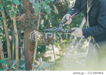 Japanese Gardener 131360464