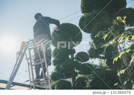 Japanese Gardener Japanese Gardener 131360479
