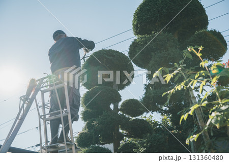 Japanese Gardener Japanese Gardener 131360480