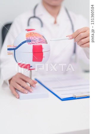 Elderly Patient consulting Doctor to Eye disease, Senior Medical Diagnosis. Anatomy Eye model for Cataract, Glaucoma, Age Related Macular Degeneration, Diabetic Retinopathy, Vitreous, health concept 131360584
