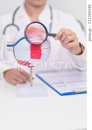 Elderly Patient consulting Doctor to Eye disease, Senior Medical Diagnosis. Anatomy Eye model for Cataract, Glaucoma, Age Related Macular Degeneration, Diabetic Retinopathy, Vitreous, health concept Elderly Patient consulting Doctor to Eye disease, Senior Medical Diagnosis. Anatomy Eye model for Cataract, Glaucoma, Age Related Macular Degeneration, Diabetic Retinopathy, Vitreous, health concept 131360586