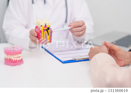 Elderly Patient consulting Dentist to Tooth disease, Senior Health Medical Diagnosis. Anatomy teeth model for Oral Teeth decay, Scrape off tartar. March Oral health, Dentist Day, False Teeth concept 131360619