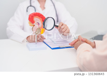Elderly Patient consulting Doctor to Brain disease, Senior Health Medical Diagnosis. Anatomy Brain model for Explanation, Brain Tumor, neurological disorders, Dementia, alzheimer, parkinson and Mental Elderly Patient consulting Doctor to Brain disease, Senior Health Medical Diagnosis. Anatomy Brain model for Explanation, Brain Tumor, neurological disorders, Dementia, alzheimer, parkinson and Mental 131360643