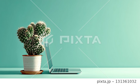 Cactus beside laptop on minimalist desk Cactus beside laptop on minimalist desk 131361032