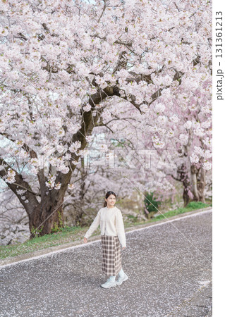 Woman tourist sightseeing Sakura Cherry Blossom in Spring, happy traveler travel in Tendo Park or Maizuru Park in Yamagata prefecture, Tohoku, Japan. famous Landmark for Travel and Vacation Woman tourist sightseeing Sakura Cherry Blossom in Spring, happy traveler travel in Tendo Park or Maizuru Park in Yamagata prefecture, Tohoku, Japan. famous Landmark for Travel and Vacation 131361213