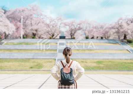 Woman tourist sightseeing Tendo Park or Maizuru Park with Sakura Cherry Blossom in Spring, happy traveler travel in Yamagata prefecture, Tohoku, Japan. famous Landmark for Travel and Vacation Woman tourist sightseeing Tendo Park or Maizuru Park with Sakura Cherry Blossom in Spring, happy traveler travel in Yamagata prefecture, Tohoku, Japan. famous Landmark for Travel and Vacation 131361215