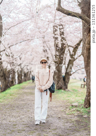 Woman tourist sightseeing Sakura Cherry Blossom in Spring. Happy traveler travel near Hinokinai River riverbank in Kakunodate town, Semboku District, Akita Prefecture, Japan. Landmark and Vacation 131361255