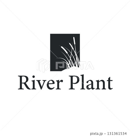 Grass river plant cattails logo, design with simple art concept, natural plant symbol, illustration, template, icon 131361534