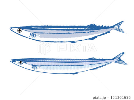 秋刀魚イラスト二種類 秋刀魚イラスト二種類 131361656