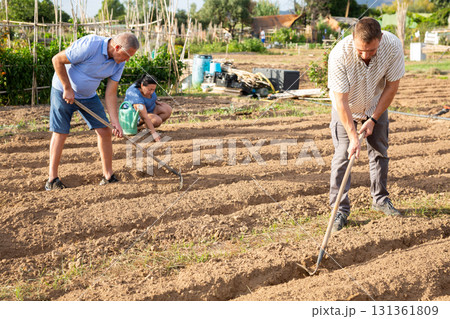 Man amateur gardener hoeing soil in vegetable bed in summertime 131361809