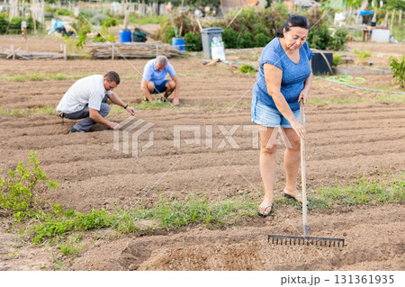 Female gardener working with rake in garden, preparing soil for seedlings transplanting Female gardener working with rake in garden, preparing soil for seedlings transplanting 131361935