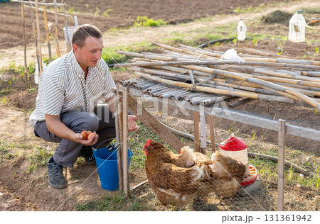 Male farmer collecting chicken eggs in chicken coop outdoors Male farmer collecting chicken eggs in chicken coop outdoors 131361942
