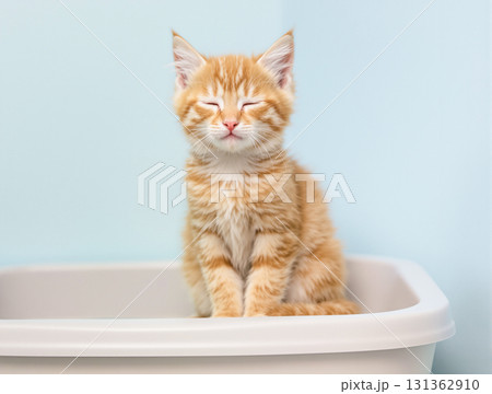 トイレ中の猫 131362910
