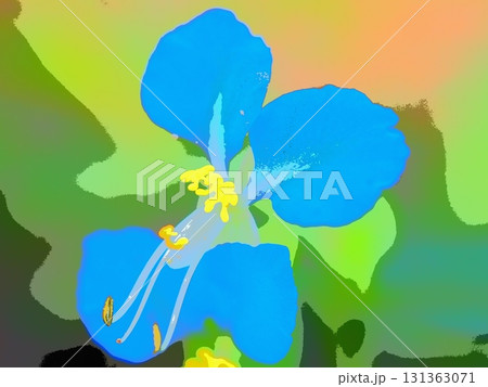 朝のツユクサ（afr20250921084345） 131363071