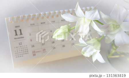 11月のカレンダーと白い花 131363819