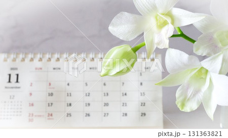11月のカレンダーと白い花 11月のカレンダーと白い花 131363821