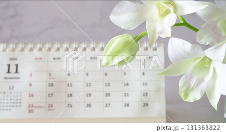 11月のカレンダーと白い花 11月のカレンダーと白い花 131363822