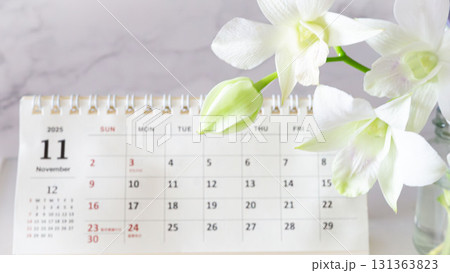 11月のカレンダーと白い花 11月のカレンダーと白い花 131363823