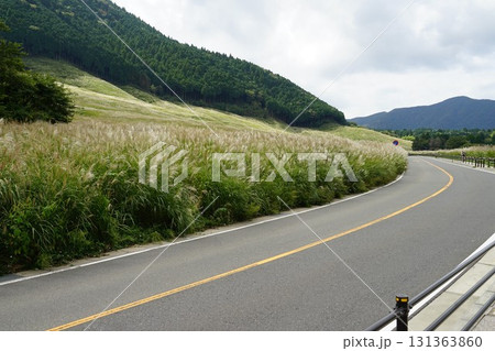 神奈川県足柄下郡箱根町の仙石原すすき草原周辺の風景 神奈川県足柄下郡箱根町の仙石原すすき草原周辺の風景 131363860
