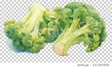 透明背景上的西蘭花水彩插圖（png） 131363920