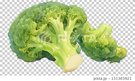 Broccoli watercolor illustration on transparent background (png) Broccoli watercolor illustration on transparent background (png) 131363921