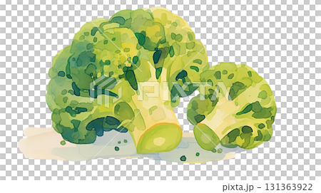 透明背景（png）にブロッコリーの水彩イラスト 131363922