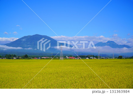 秋の田園風景（長野県信濃町） 131363984