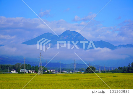 秋の田園風景(長野県信濃町) 秋の田園風景(長野県信濃町) 131363985