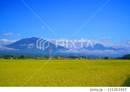 秋の田園風景(長野県信濃町) 秋の田園風景(長野県信濃町) 131363987
